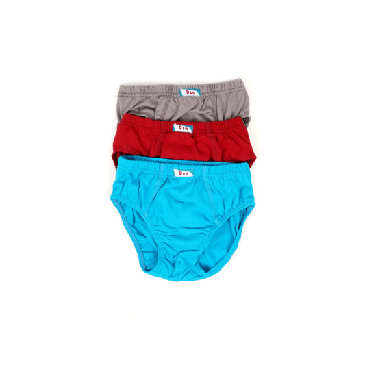 Lot de 3 slips garçon en coton
